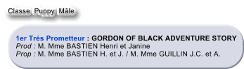 1er Trs Prometteur : GORDON OF BLACK ADVENTURE STORY   Prod : M. Mme BASTIEN Henri et Janine  Prop : M. Mme BASTIEN H. et J. / M. Mme GUILLIN J.C. et A. Classe  Puppy  Mle